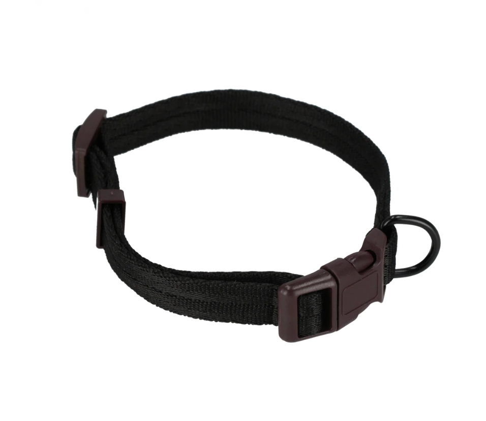 Collier pour Chien de 25,6 à 43 cm