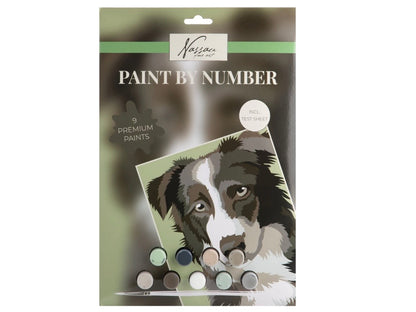 Kit de peinture par numéros