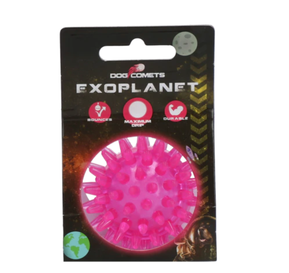 Chien Comètes Exoplanète Rose