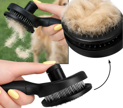 Brosse à poil - autonettoyante